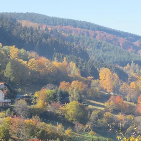 Lisaline Feriehus Neuviller